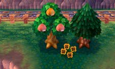 Animal Cossing New Leaf cheats: Perfect Fruit