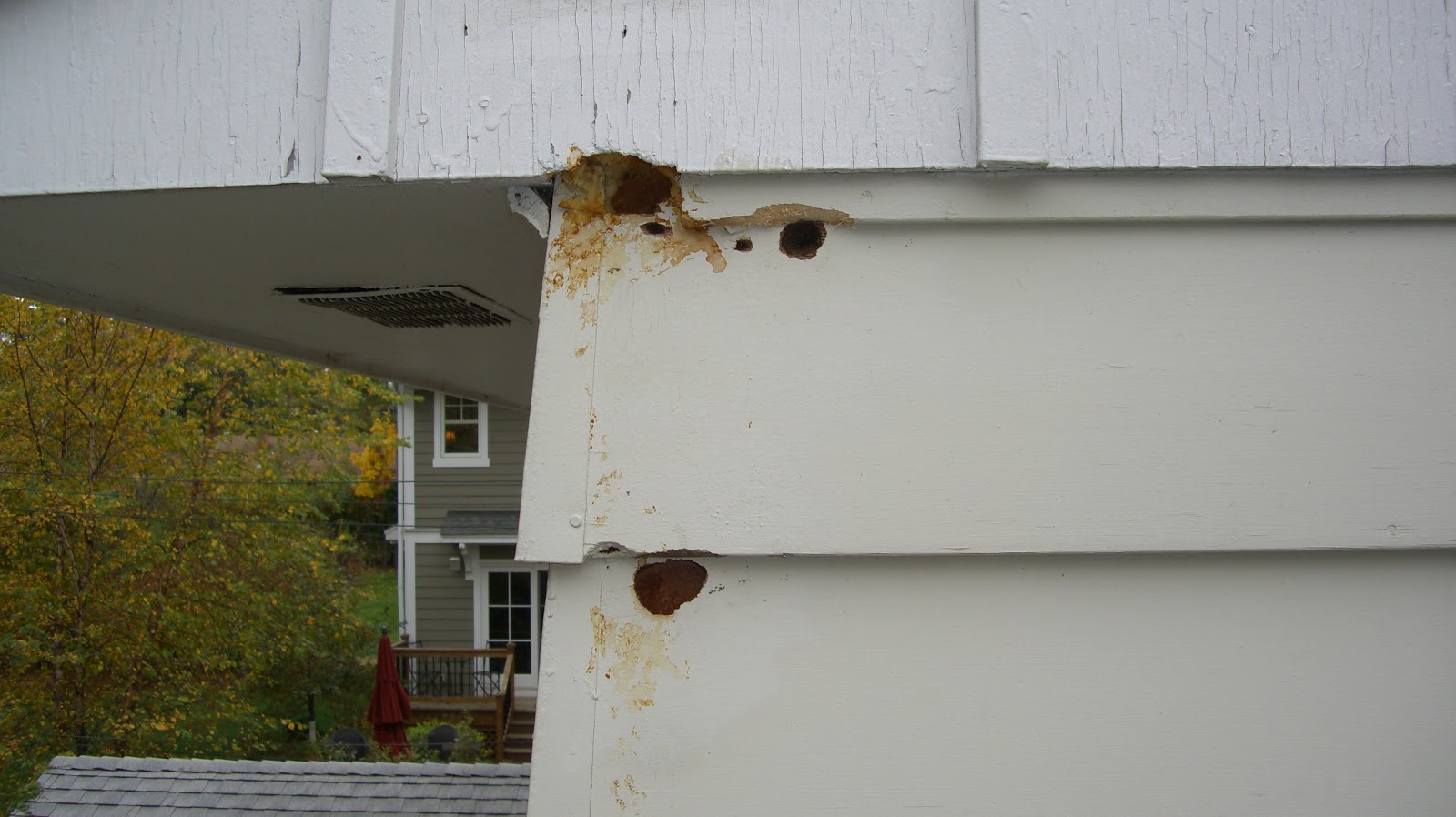 Siding, Roofing, and Gutter Solutions by Dan Wood Peckers Damaging Siding