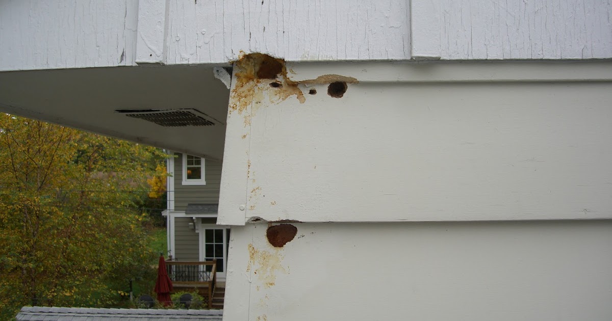 Siding, Roofing, and Gutter Solutions by Dan Wood Peckers Damaging Siding