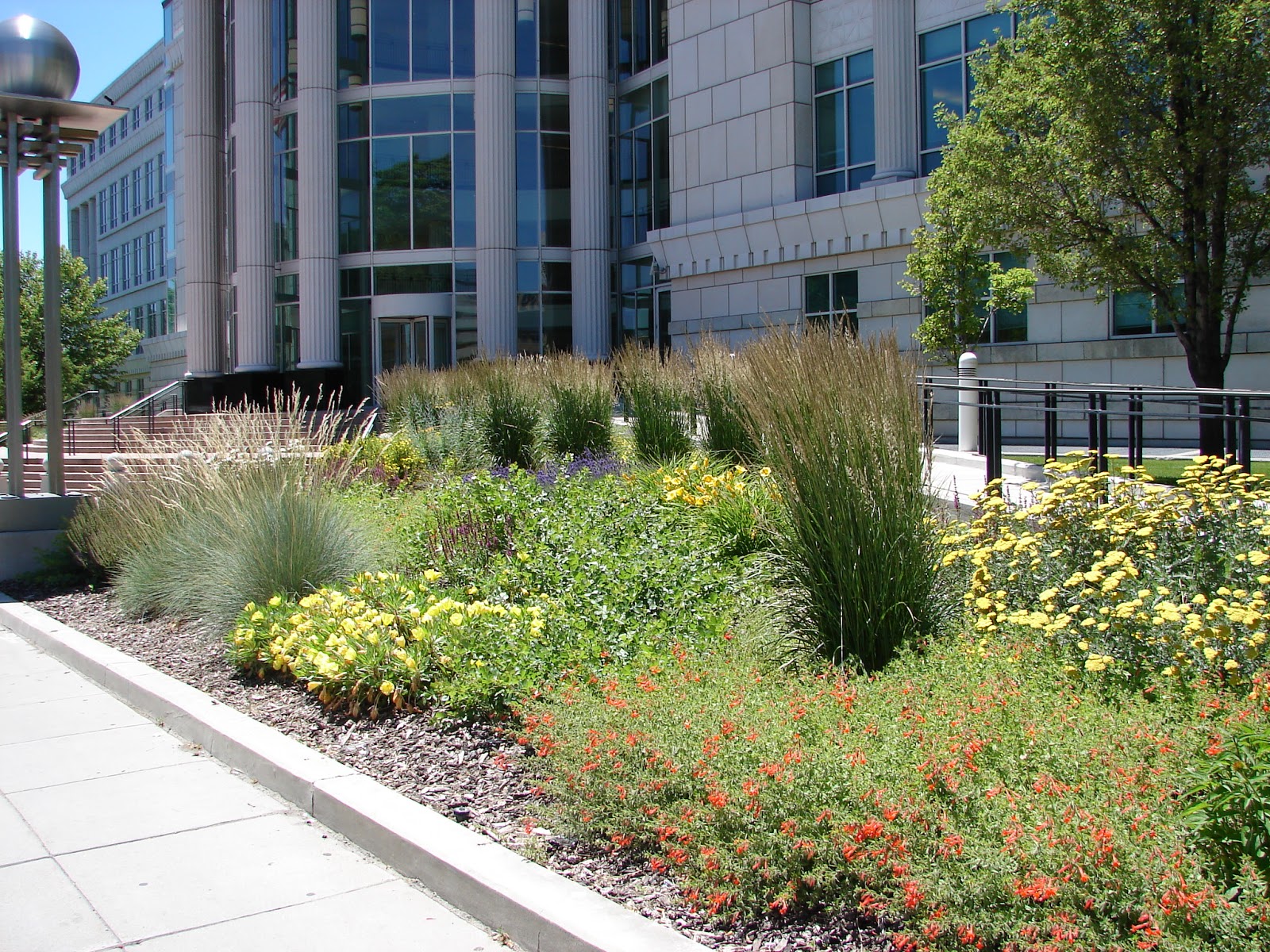 New Utah Gardener Waterwise Gardens In Utah