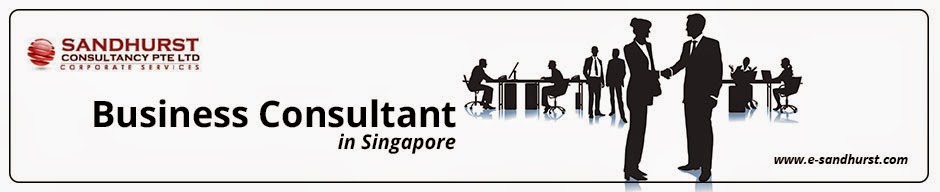 Business Consultant in Singapore | Company Registration and Setup