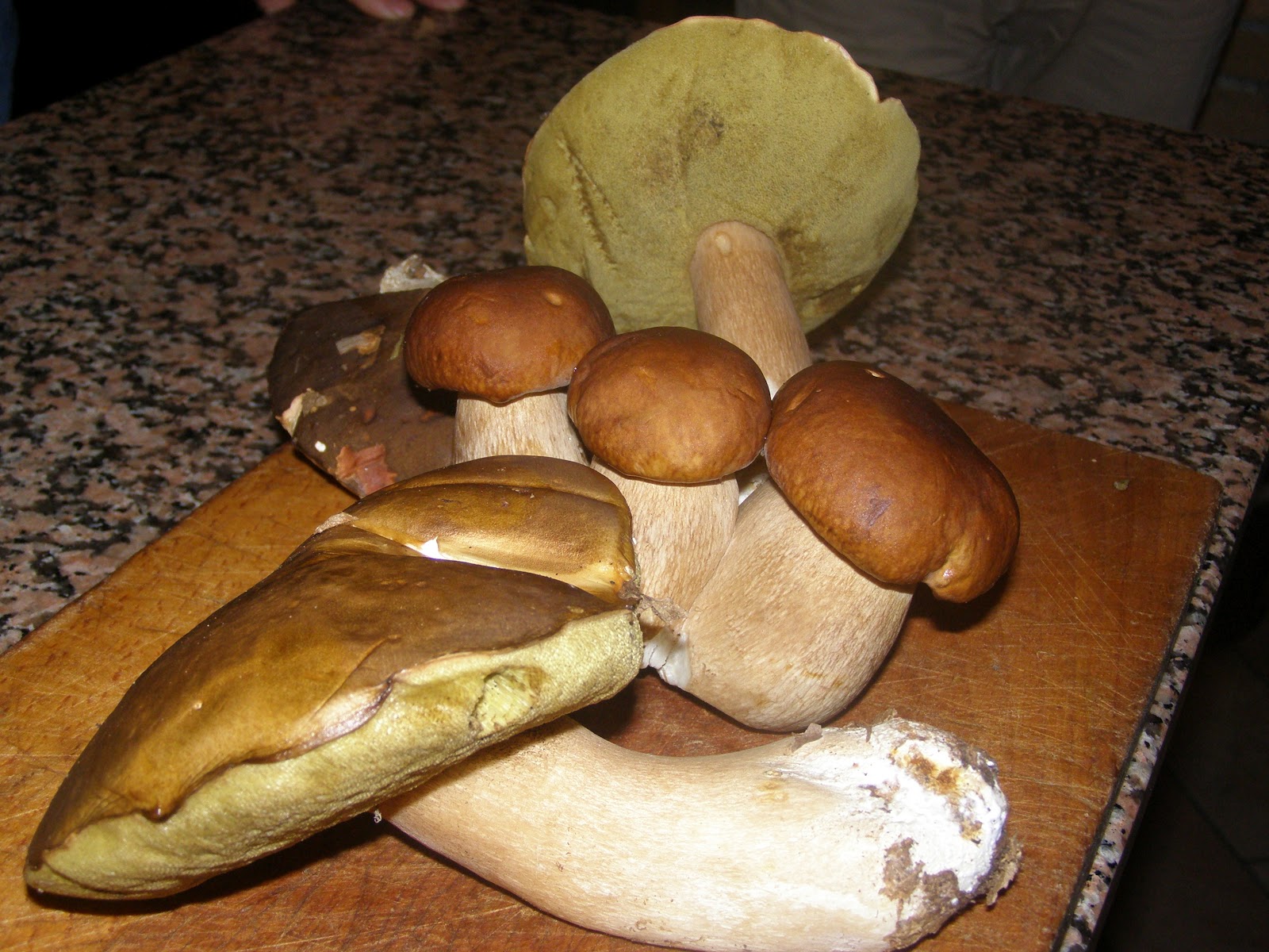 Le Ricette dei 5 Mondi CROSTINI AI FUNGHI PORCINI E SCAMORZA