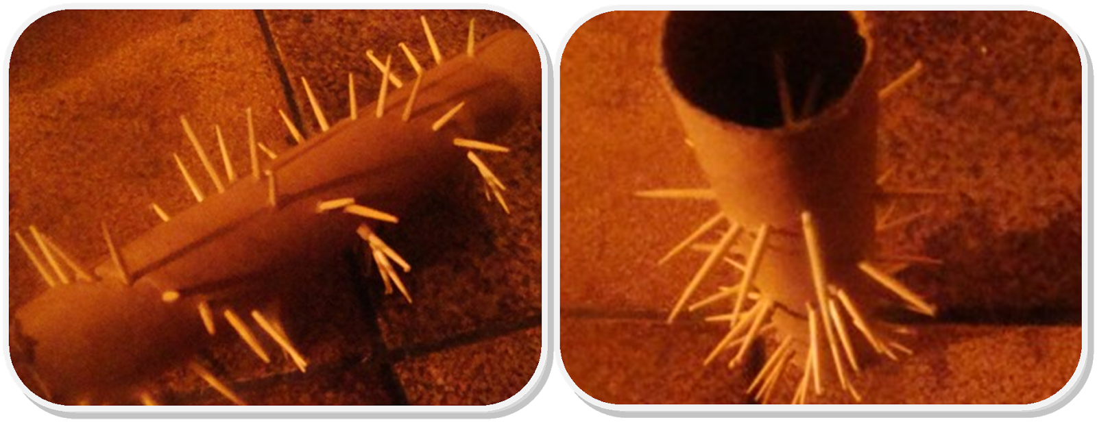 Mugwort's Dreams DIY Rainstick Traditional Music Instrument