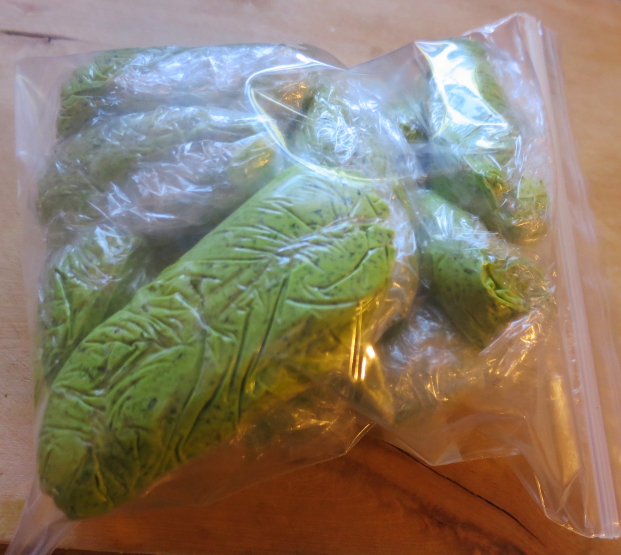 The Foraged Foodie Preserving the Flavors of Spring Ramp Compound