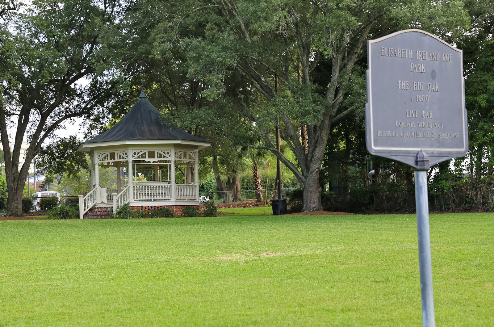 Sweet Southern Days The "Big Oak" in Thomasville,
