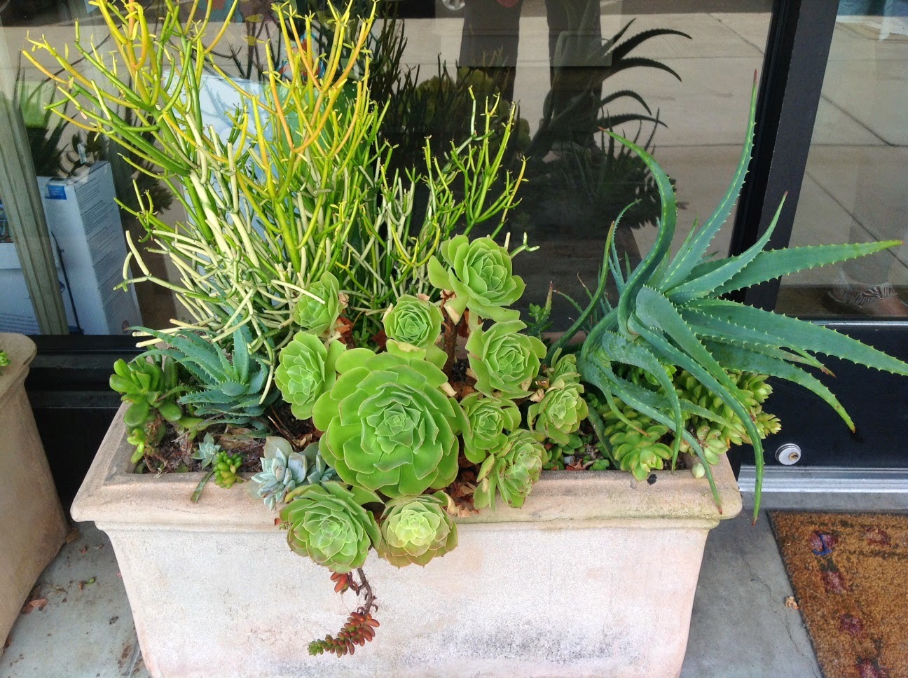 Needlepoint Study Hall Teaching at Needle Nook of La Jolla