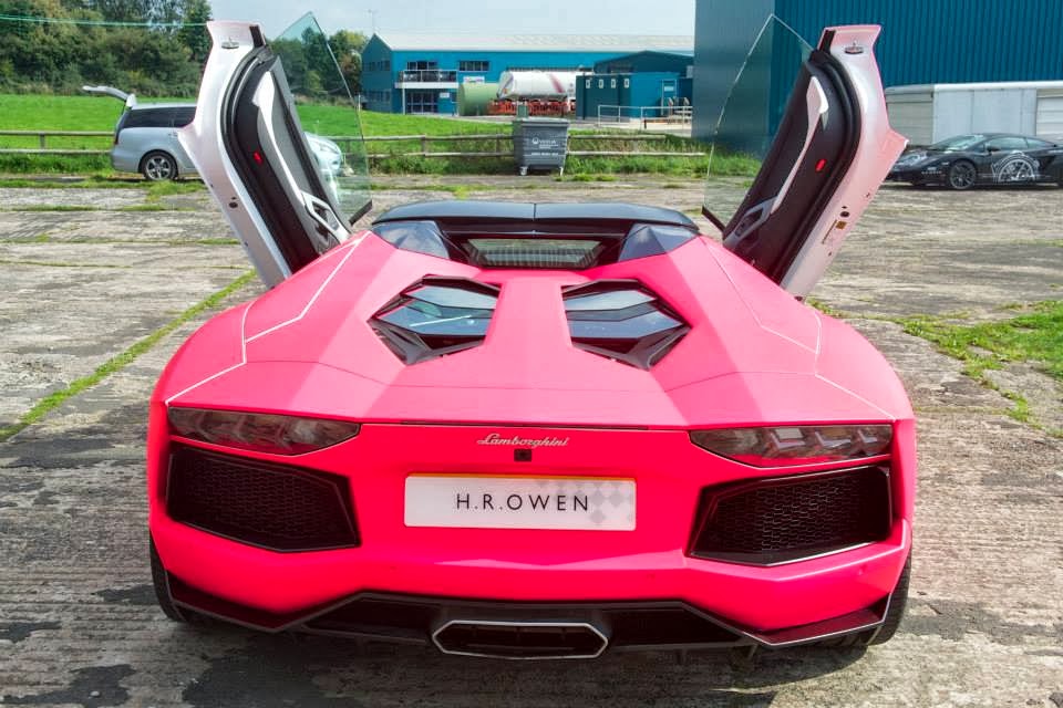 Ride In Pink Lamborghini Was a Dream Come True For Little Girl