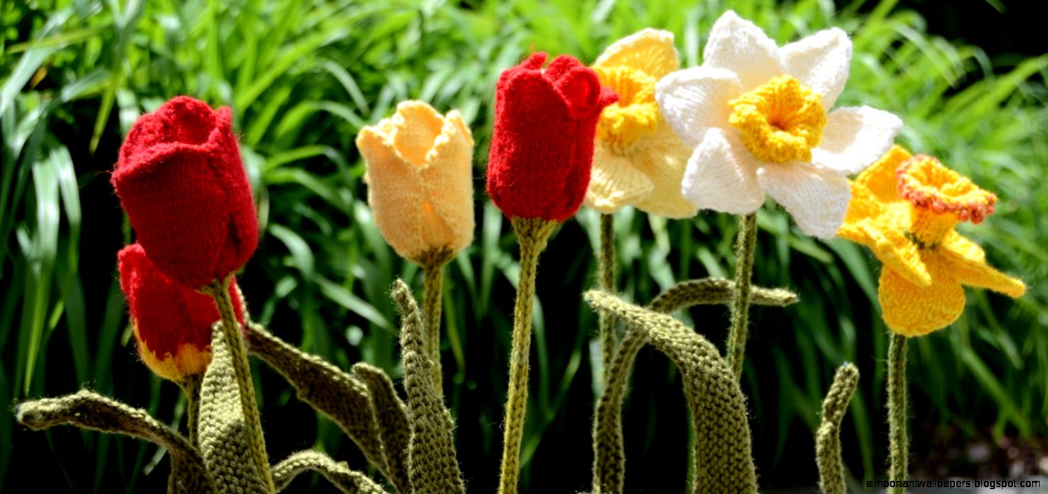 The quotKnitted Flower Gardenquot Now on Display at Colorful Stitches The quotKnitted Flower Gardenquot Now on Display at Colorful Stitches