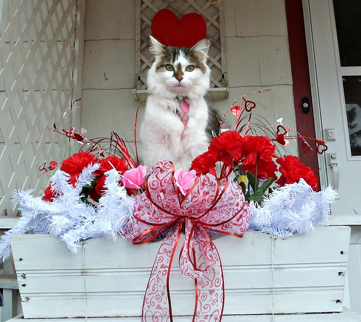 Old Glory Cottage: Valentine's Day Decorations~~REDNESDAY!