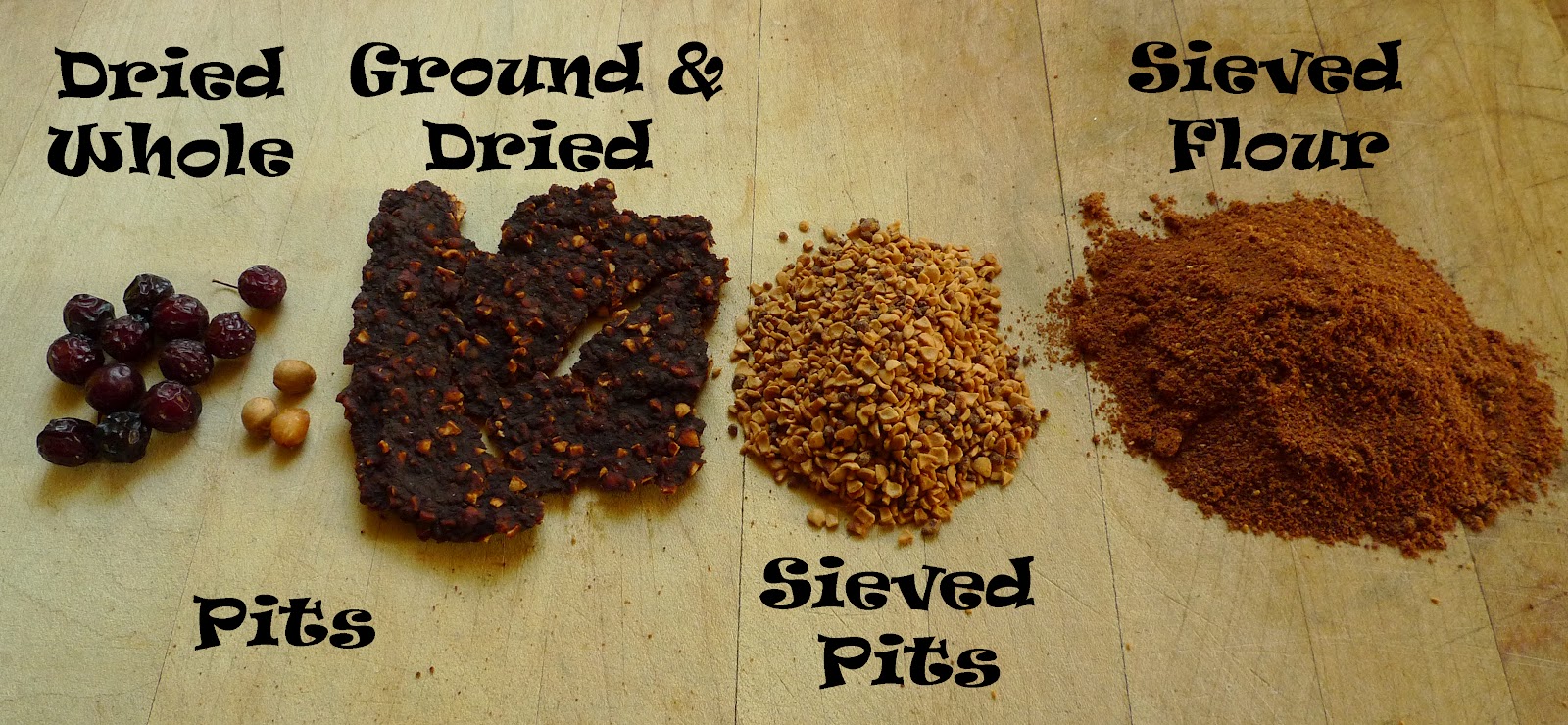 Wild Harvests Chokecherries from the dry side of the mountain