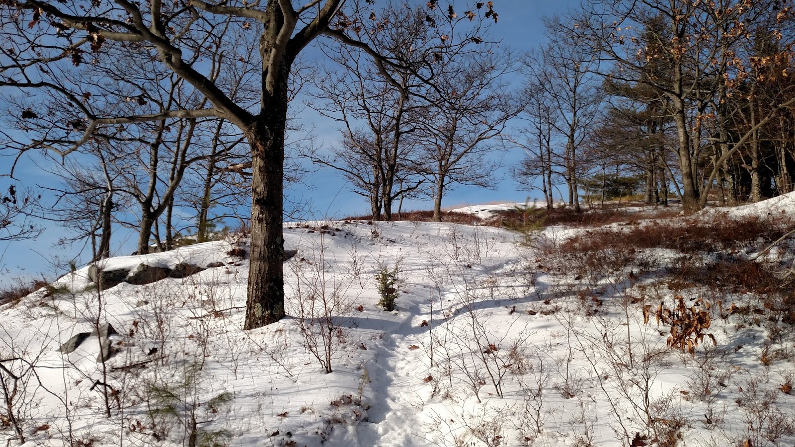 Off on Adventure Pilot Knob Mountain Lake Wild Forest 1/7/16