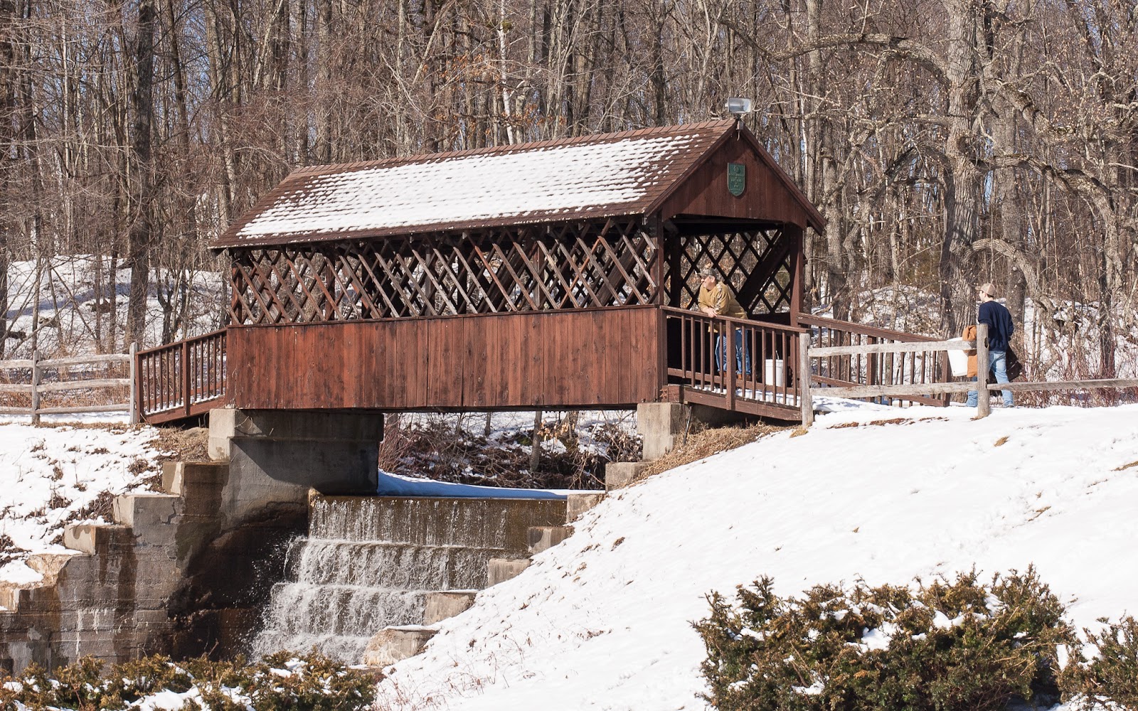Life, On A Bridged Huckleberry Hill Bridge, Avon, CT