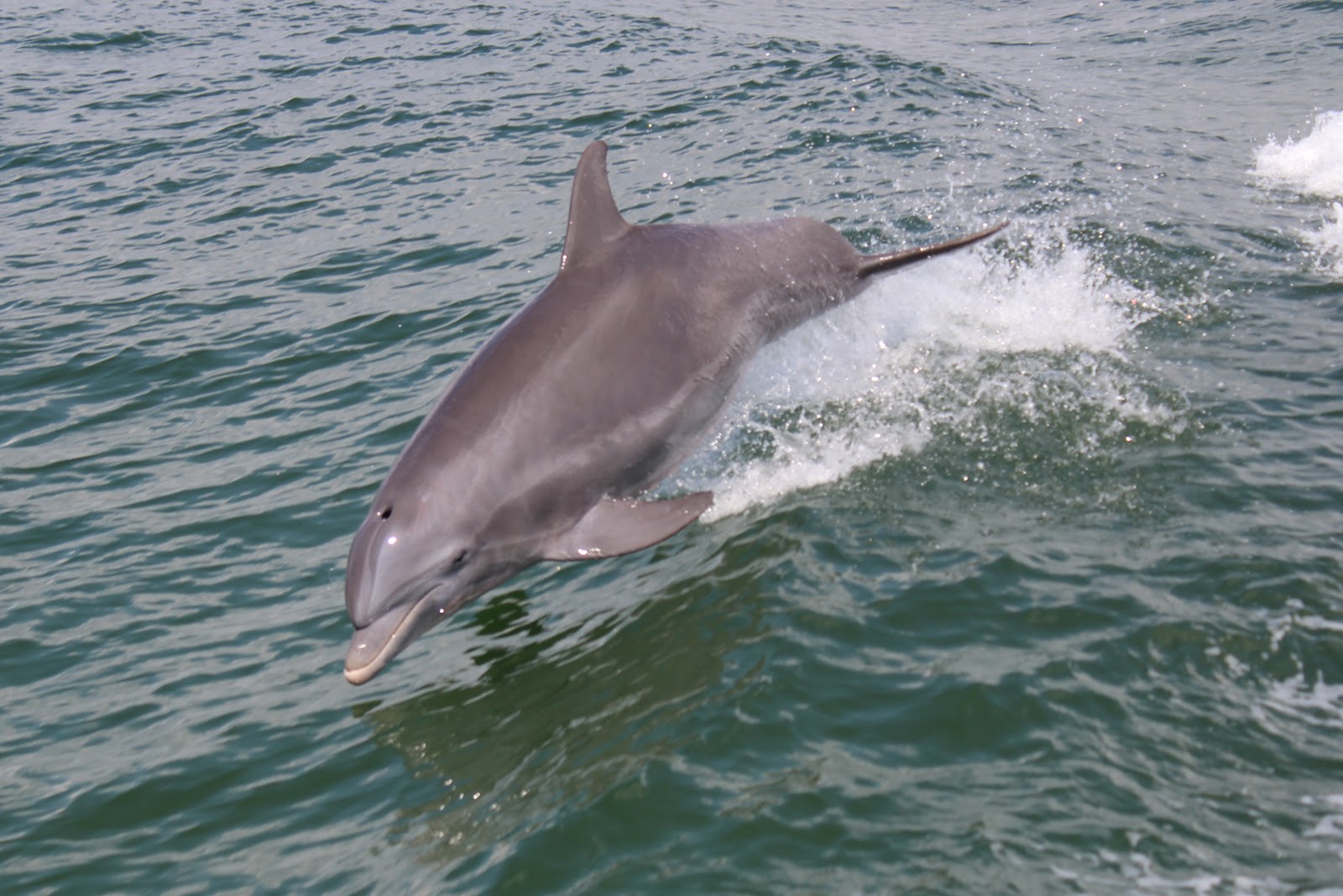 Top 10 ways to Spend Mothers Day in Pensacola~