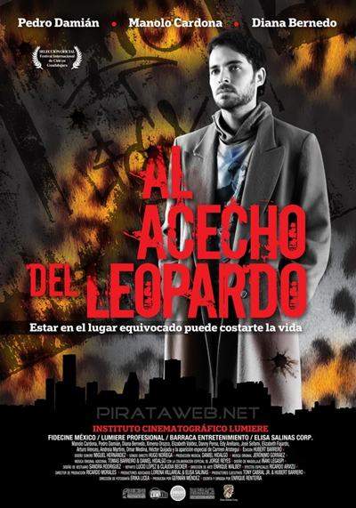 Al Acecho del Leopardo DVDRip Español Latino Descargar 1 Link 2011
