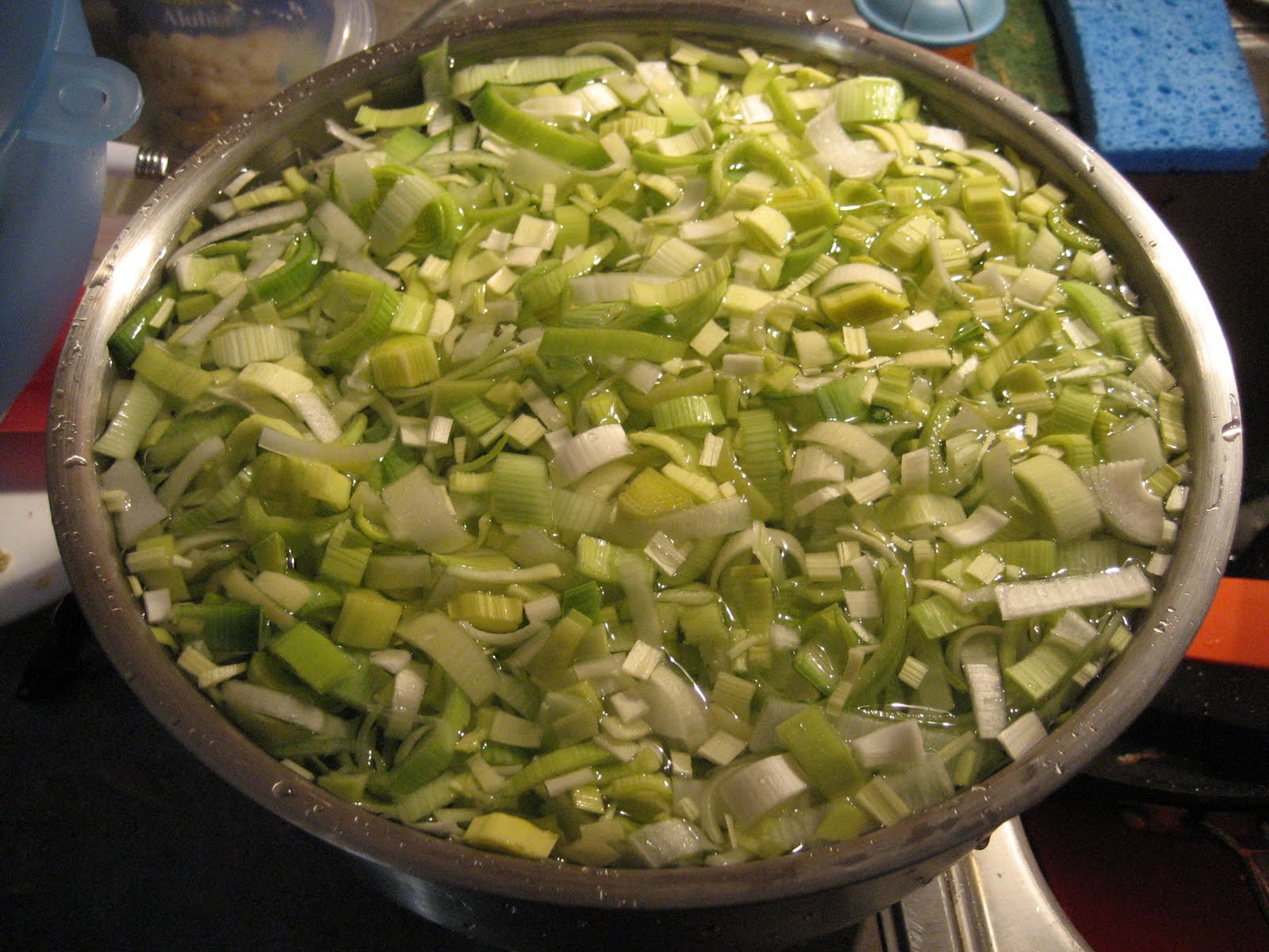 Passover Recap and PotatoLeek Kugel