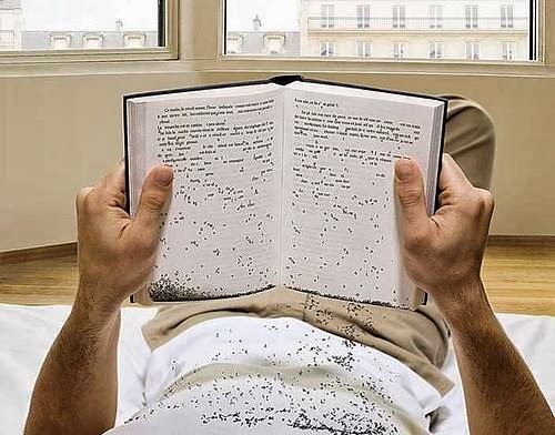 LA LECTURA LO ABSORBE EL CEREBRO