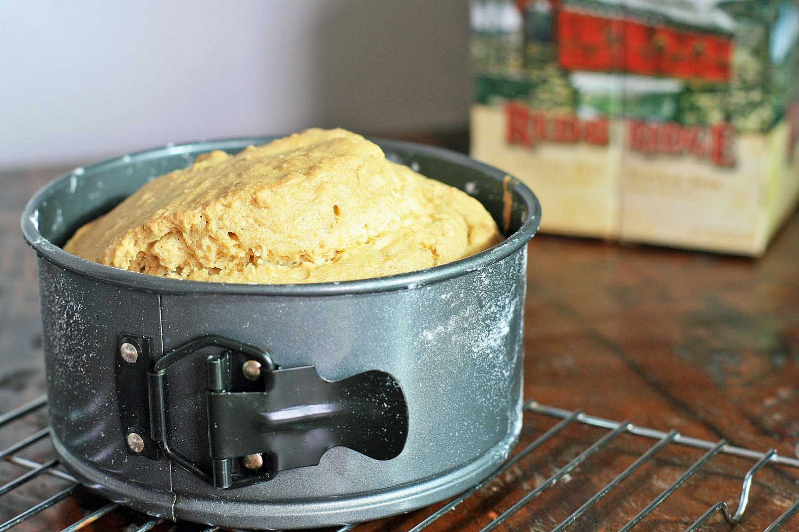 Beer Damper Australian GlutenFree Beer Bread Girl Cooks World
