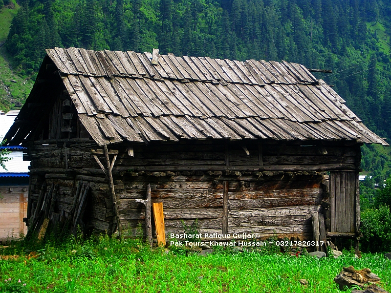 forest of pakistan essay Class xii, english, essay types of forests in pakistan evergreen forests importance of forests. forest of pakistan essay Class xii, english, essay types of forests in pakistan evergreen forests importance of forests.