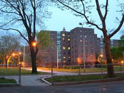 Regardless of Your Residence, Money, or Fame, Never Forget From Whence You Came!