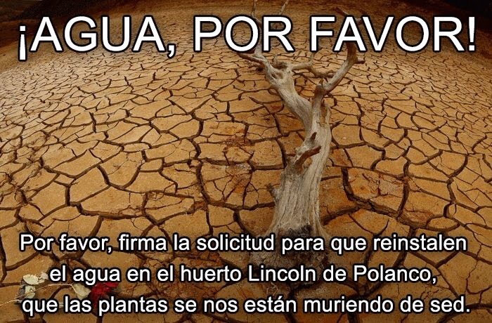 Firma por favor!