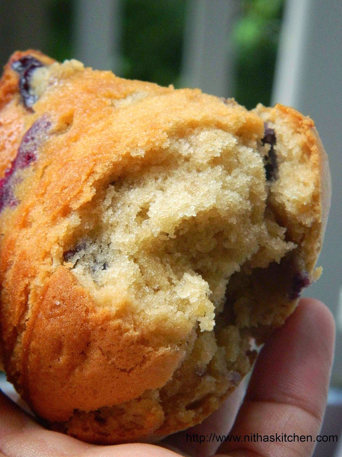 Eggless Butterless Blueberry Muffins Egg Free Butter Free Blueberry