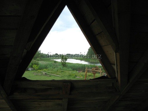 Zasavica Swamp in Serbia