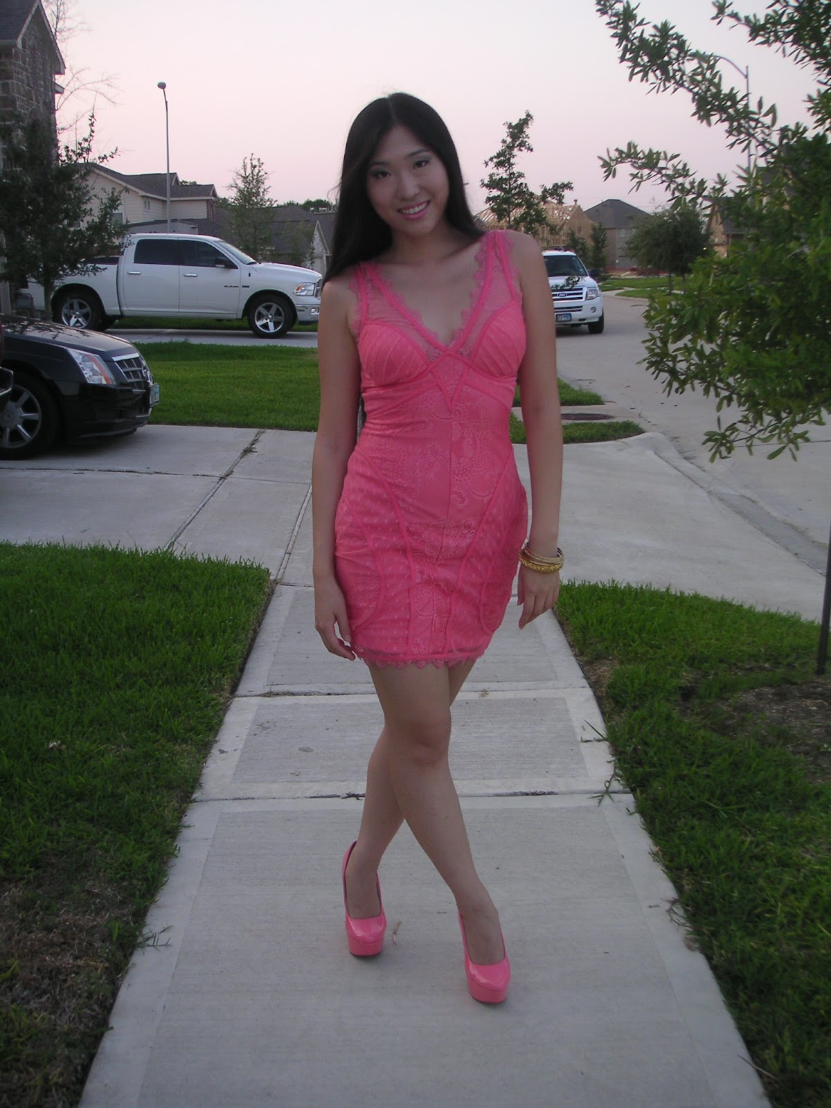 Bebe V-Neck Lace Dress