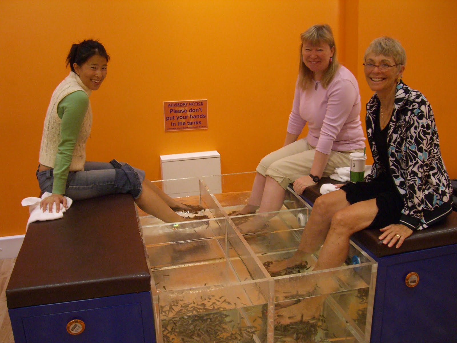 Inside The Artisan Fish Pedicure 