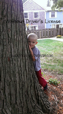 What Do Driver's Licenses and Heads Have in Common?