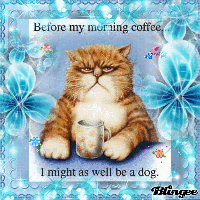 21+ Good Morning Gif Funny Cat Pics