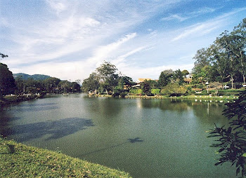 VIU? É AQUI .LAGO DE BARÃO DE JAVARY