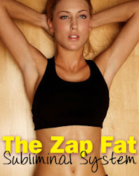 Zap Fat System