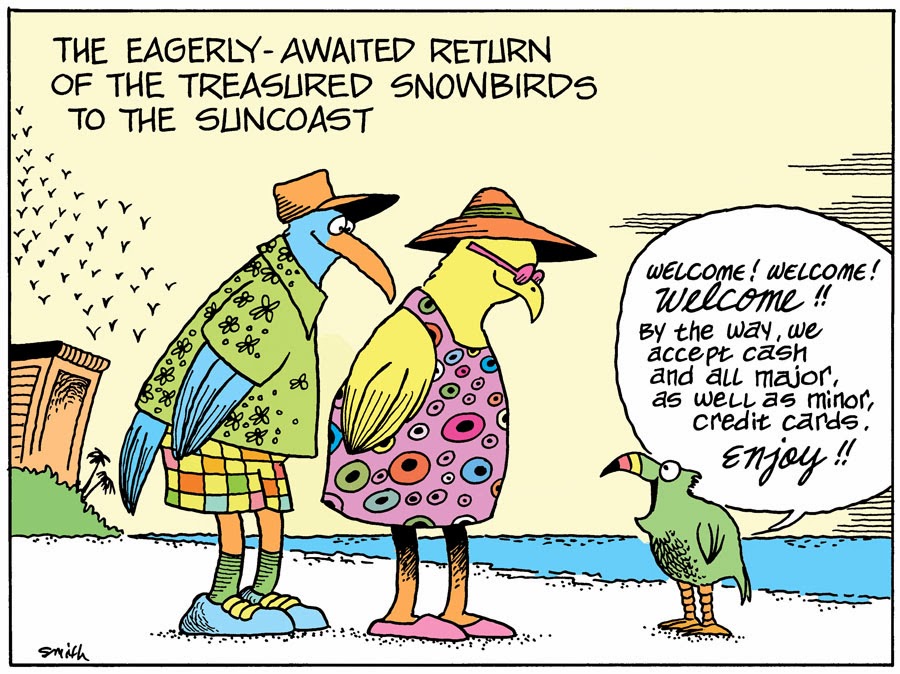 flying to florida artoon flying to florida artoon