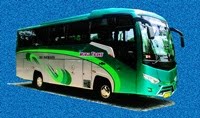 BPC Medium Bus