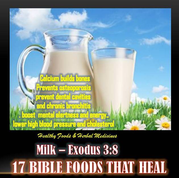 17 BIBLE FOODS THAT HEAL MILK Exodus 38