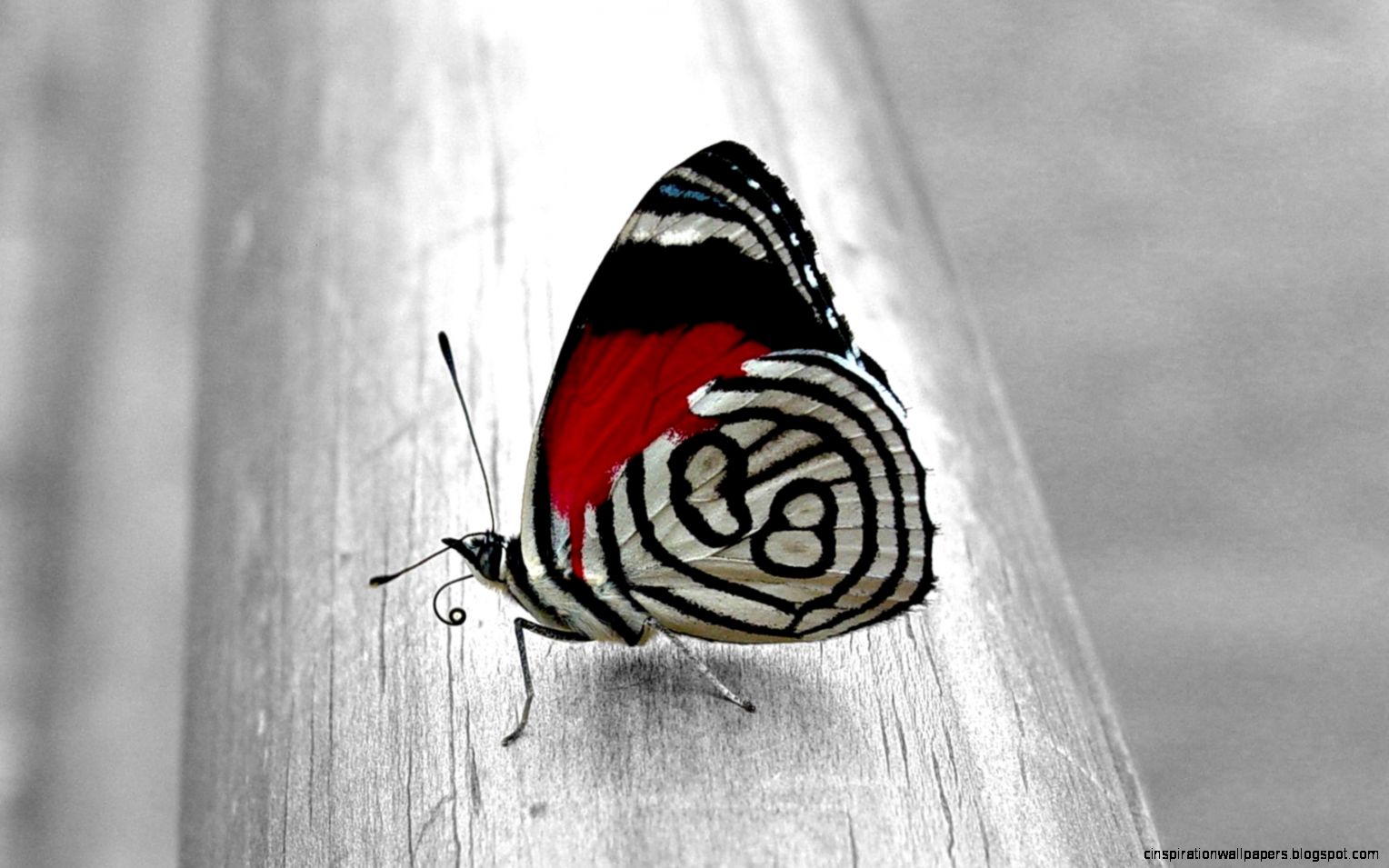 Unique Desktop Wallpaper   Wallpaper HD Base Unique Desktop Wallpaper   Wallpaper HD Base