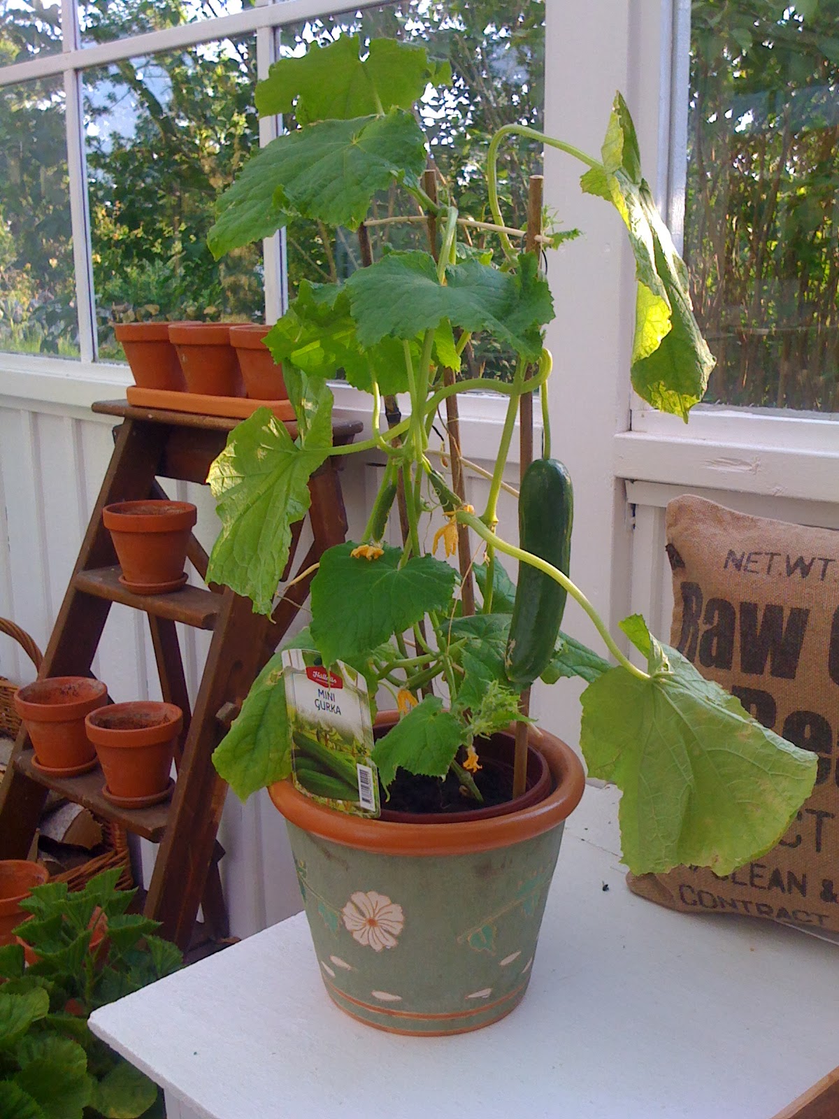 Torpet på Öland Minigurka