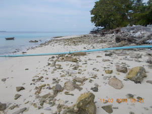 A view of the rock and stone beach opposite the "Boat Yard" on the East Coast of Omadhoo Island.