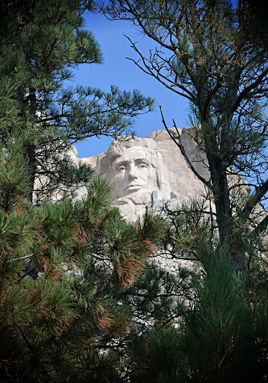Lincoln Through the Pines - Mount Rushmore