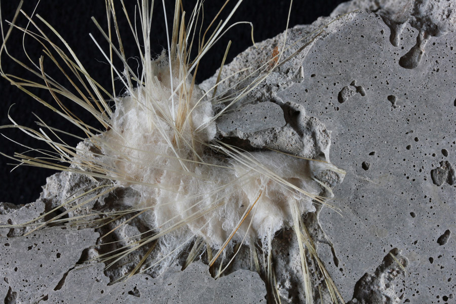 imagineitgroup6 Ann Goddard