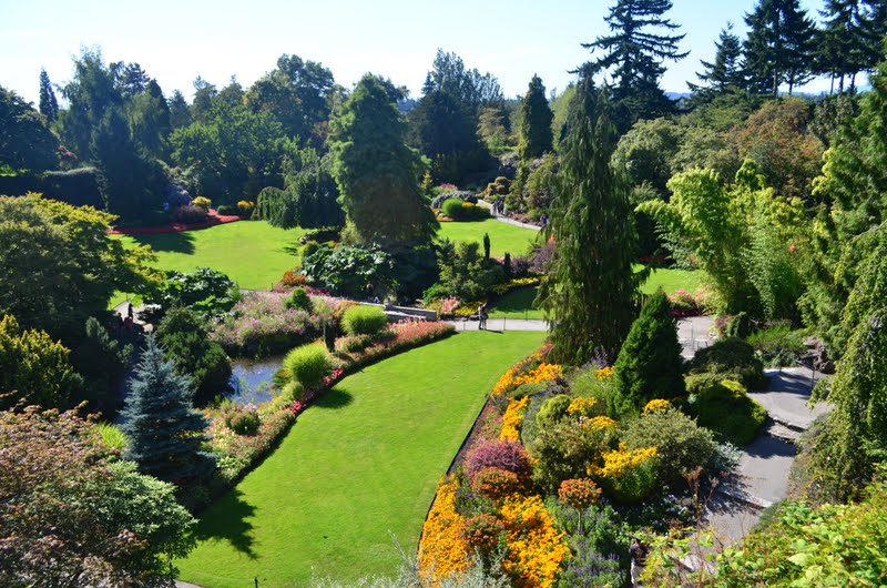 Photography in My Life: Queen Elizabeth Park