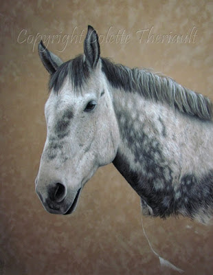 Horse portrait painting in progress by Canadian Artist Colette Theriault