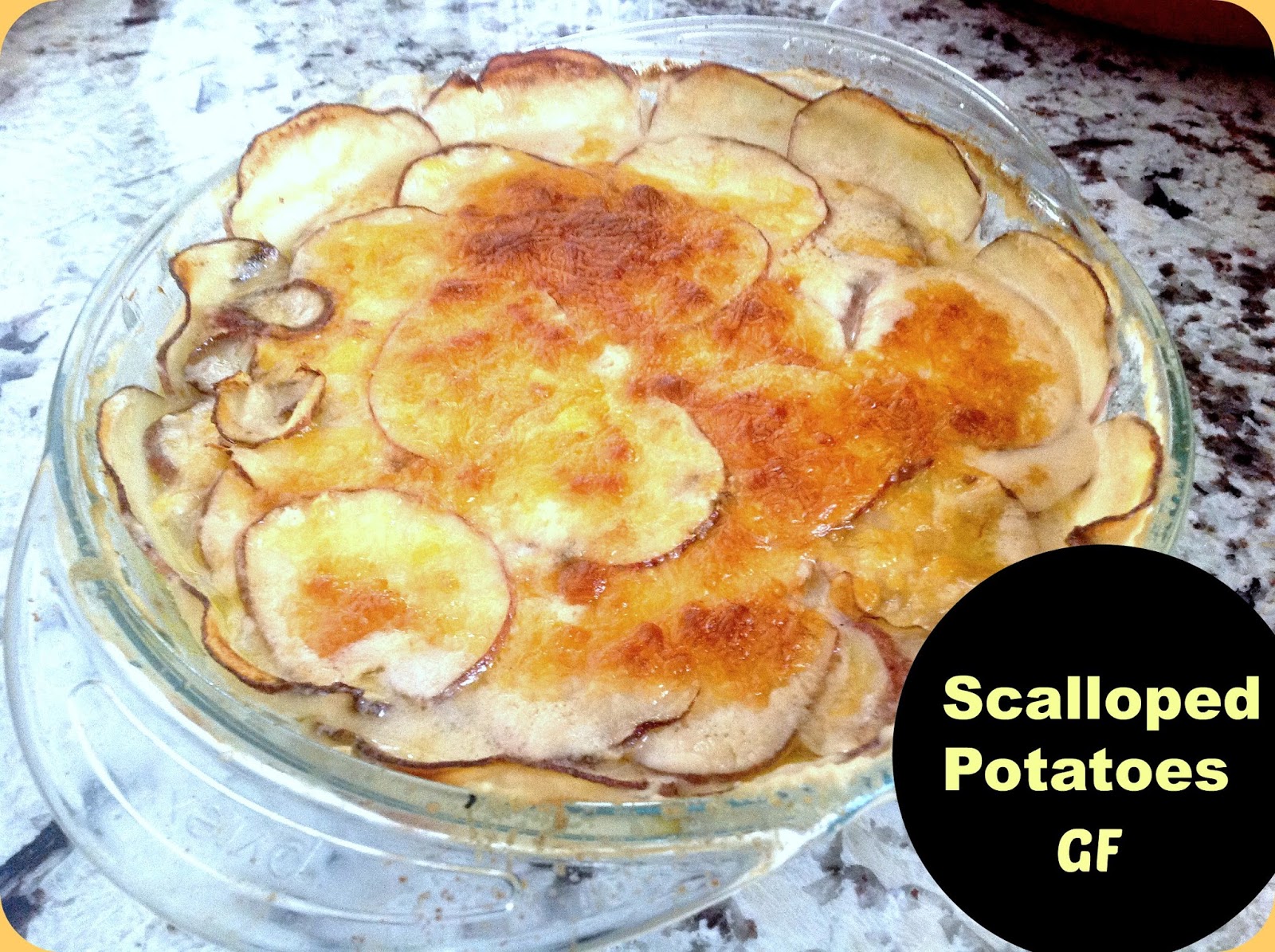 Gluten Free AZ Scalloped Potatoes
