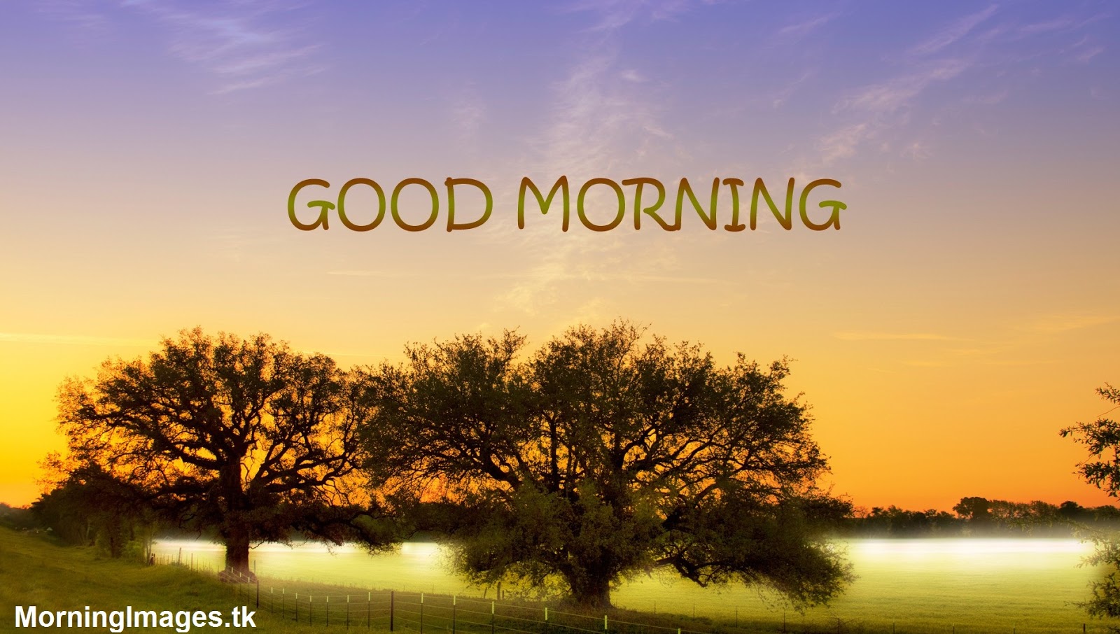 AZquotes: Good Morning Images HD Beautiful Quotes Images