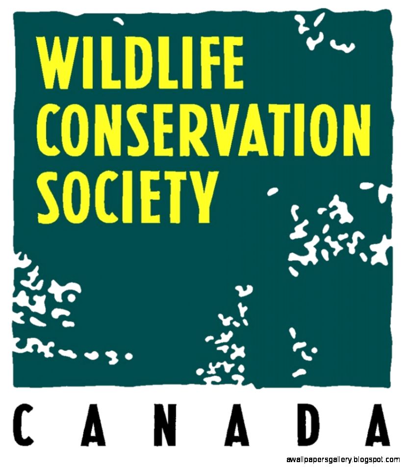 The Wildlife Conservation Society Amazing Wallpapers The Wildlife Conservation Society Amazing Wallpapers