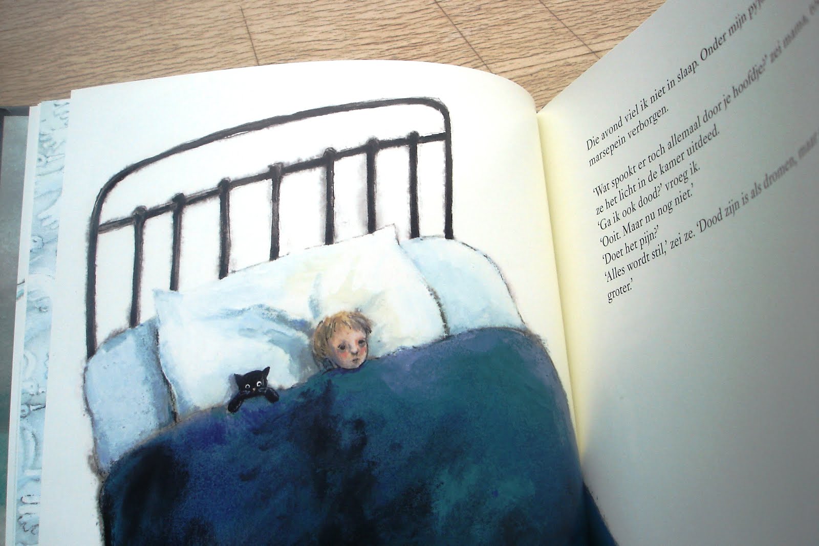 Bibliotheek Wetteren Van de bovenste plank Groter dan een droom