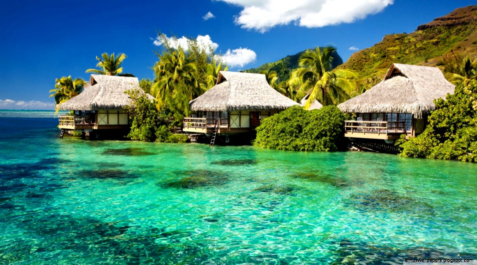 Water Bungalows On A Tropical Island HD desktop wallpaper High Water Bungalows On A Tropical Island HD desktop wallpaper High
