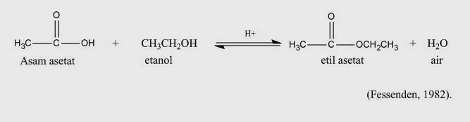 ESTERIFIKASI ETIL ASETAT PDF