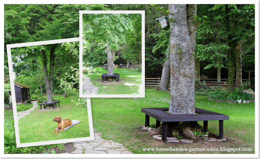 Broceliandes Garten Eden : die Baumbank