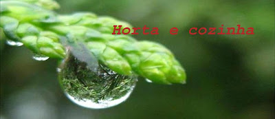 horta e cozinha